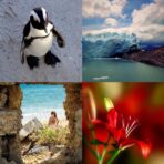 Sony Cybershot DSC-W330 – Y2K Digital Camera | 14.1MP, Carl Zeiss Lens (Fair Condition) - Image 4