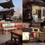 Sony Cybershot DSC-W180 – Ruby Red Y2K Digicam | 10.1MP, SteadyShot, HD Video - Image 3