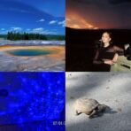 Kodak EasyShare M532 Digital Camera | 14MP | Tested | Retro Y2K Digicam - Image 5