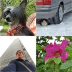 Used Casio Exilim H15 Digital Camera - Image 7