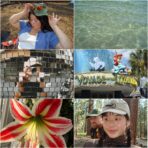 Sony Cyber-shot W120 Pastel Pink Digital Camera | Tested Bundle - Image 6