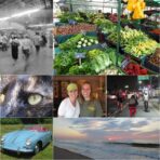 Used Canon Powershot ELPH 300 HS Digital Camera 🍒 - Image 6