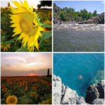 Nikon ultra Rare Rotating Screen Digital Camera | Tested | TikTok Famous - Image 4