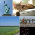 Used Canon Powershot A590 IS Digital Camera - Image 5