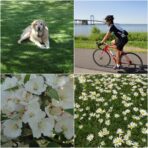 Used Sony CyberShot W560 Digital Camera - Image 6