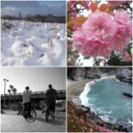 Used Nikon Coolpix S550 Digital Camera - Image 7