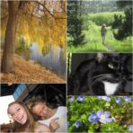 Used Canon Powershot A2200 Digital Camera - Image 6