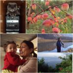 Sony Cyber-shot S930 Digital Camera | Tested | AA Battery Powered - Image 5