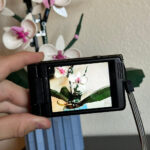 🍇 ₊˚💜 Nikon COOLPIX S6900 16MP Compact Digital Camera (Black) with Flip Screen and Wi-Fi 🍥 🎀📷 - Image 8