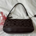 Coach Brown Demi Bag🪻🍃 - Image 4