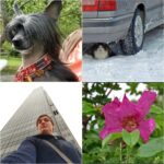 Used Casio Exilim H15 Digital Camera - Image 7