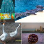 Used Kodak EasyShare M320 Digital Camera - Image 7