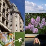 Used Kodak Pink digital camera | 6.2MP - Image 5