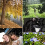 Used Canon Powershot A2200 Digital Camera - Image 6