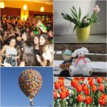 Used Sony Cybershot W350 Digital Camera - Image 6