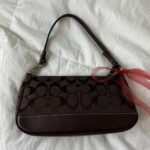 Coach Brown Demi Bag🪻🍃 - Image 3