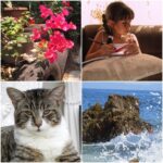 Used Canon Powershot Elph 160 Digital Camera ⊹🖇️˚ ⋆ - Image 6